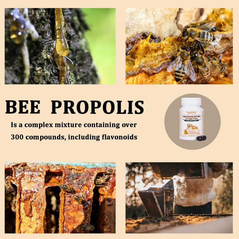 Bee Propolis for Dogs & Cats, Daily Immune System Support,