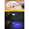 DARKBEAM UV 395nm USB Rechargeable Flashlight Ultraviolet led Light Blacklight