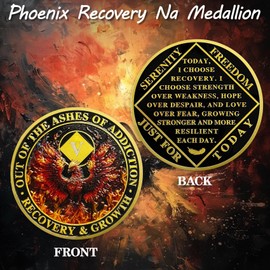 ACGZQY Na Medallion - 5 Years Phoenix Na Sobriety Chip Reborn from Fire NA Medallions Sober Coin Narcotics Anonymous Recovery Addiction Token NA Gifts