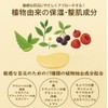 berrisom ベリサム プラセンタファーミングハイドロジェルアイパッチ 60枚入り Placenta Firming Hydro Gel EyePatch 目元