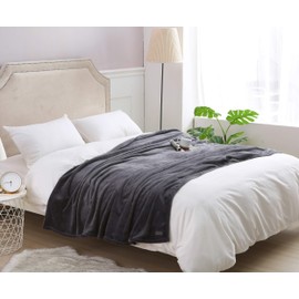 BEAUTEX Fleece Blanket Twin Size Grey Blanket Throw Super Soft Flannel Blanket Lightweight Fuzzy Plush Blanket for Couch Sofa or Bed All Seasons (Graphite Grey, 60" x 80")