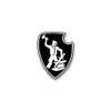 Sticker # sPzAbt 507 Schwere Panzer Abteilung German Tiger Tank