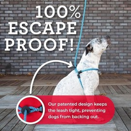 Harness Lead No Pull Dog Harness and Leash Set, Anti Pull Dog Harness, One-Piece Cushioned Rope Safely Prevents Escaping and Pulling *New Insert is Removable (Medium/Large, Rainforest)