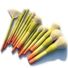 Pro Gradient Color 14pcs Juego de Brochas de Maquillaje Polvo Cosmético Suave Base de Maquillaje Sombra de Ojos Rubor Kit de Brochas de Maquillaje Herramientas de Maquillaje
