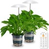 Smart LED Grow Light for Indoor Plants, Programmable Timer and