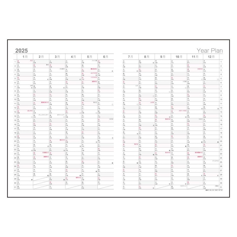 Logical Diary 2025 Index/B6/Gray NSI-B624-25AN