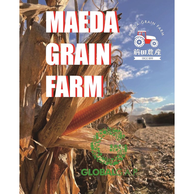 HOKKAIDO MICROWAVE POPCORN(Pack of 3)