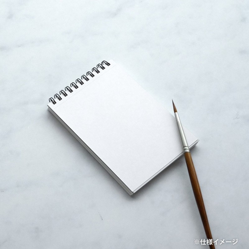 マルマン ポストカード 絵手紙用 画仙紙(越前) 機械漉き S174C 20枚