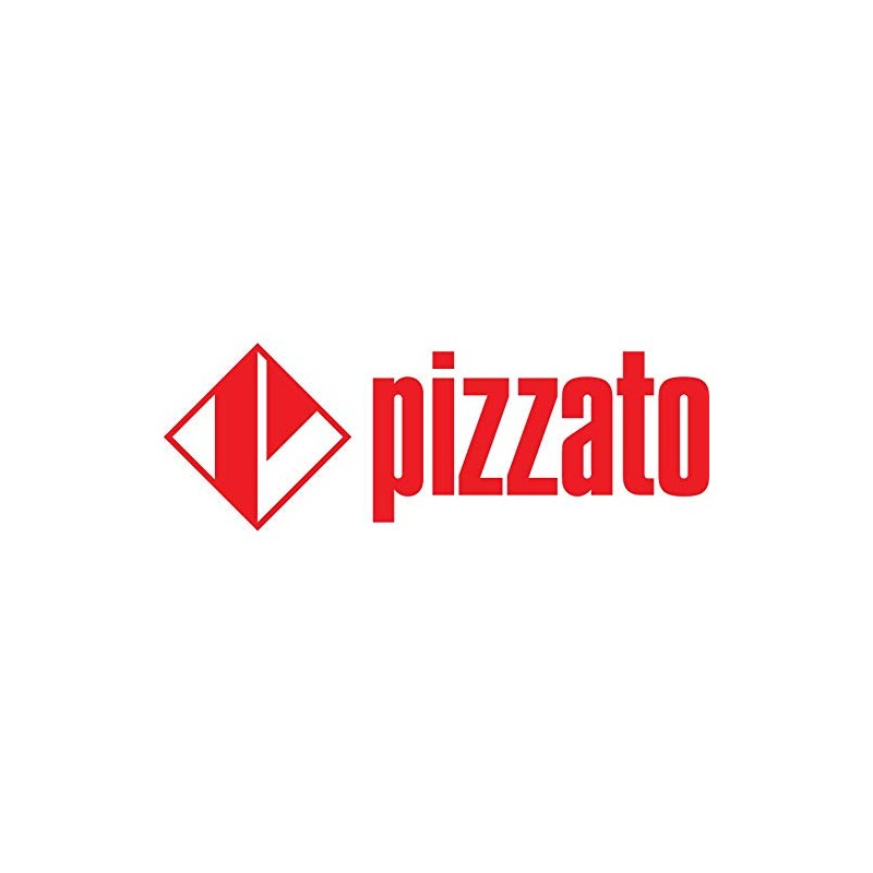 Pizzato Elettrica FR 525-M2 Endschalter 250 V/AC 6A Federstab tastend