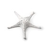 Abbott 20-SEASHORE/14 WHT Collection 3D Starfish, White (Medium)