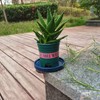 Fzfeiyy Ceramic Plant Saucer 5 Inch, 2 Pack Round Plant