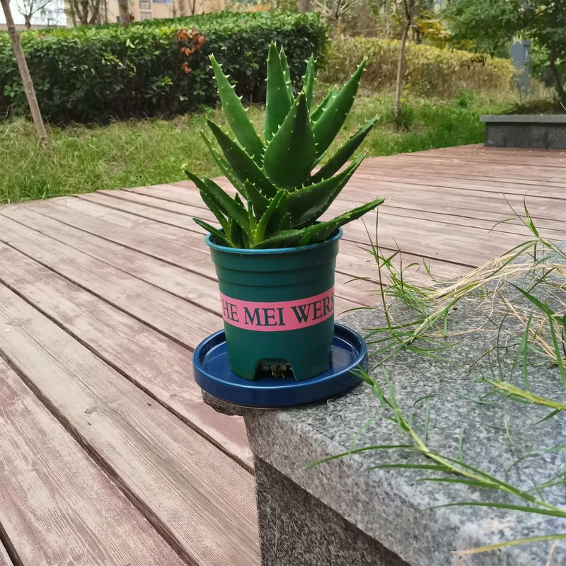 Fzfeiyy Ceramic Plant Saucer 5 Inch, 2 Pack Round Plant