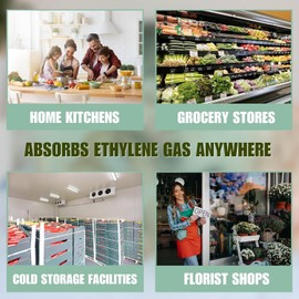 SMELLEZE Reusable Ethylene Gas Absorber Pouch: Treats Over 300 Sq. Ft.