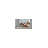 EltaMD Protector Solar UV Clear Tinded FPS 46 Niacinamida 48g
