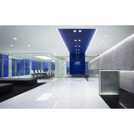 TCP LED 65 Watt Equivalent BR30 | 2 Pack | Daylight (5000K) Shatter Resistent | 650 Lumens | 15,000 Hours | Dimmable Flood Light Bulbs