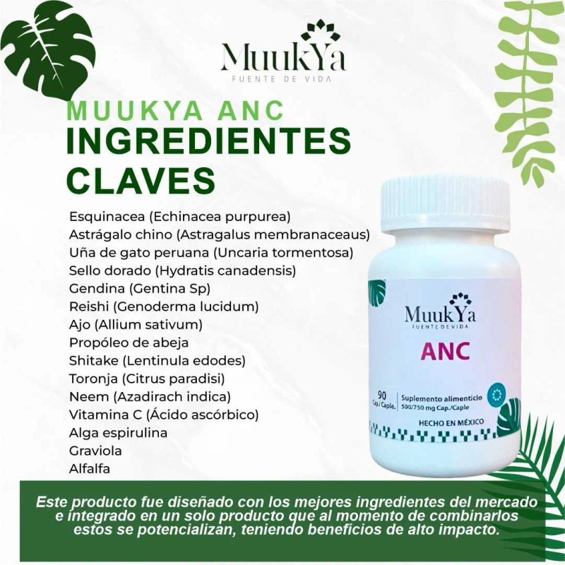 Muukya ANC: ¡Potencia tu Mente por 3 Meses! Soporte Cognitivo