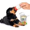 SUSTITUTO DE LECHE P/CACHORRO NATURANCE 450 G