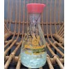 Marimo Moss Ball Soy Sauce Terrarium
