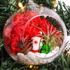 Creations by Nathalie - DIY Holiday Ornaments Terrarium Kit -