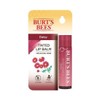 버츠비 Burt's Bees Tinted Lip Balm 5 Types Choose 1