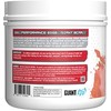 Giant Sports Performance Edge Series BCAA 60 Serving (Fruit Punch,