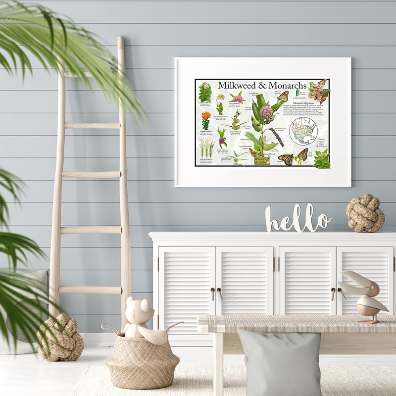 Where's Wildlife Monarch Butterfly & Milkweed Poster - Educational Nature