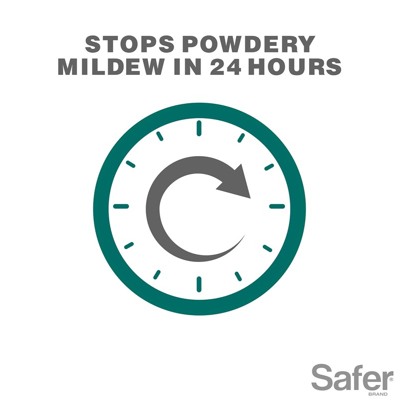 Safer Brand 5182-6 Neem Oil Concentrate Insecticide, Miticide, Fungicide for