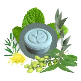 Shampoo Solido Orgánico Vegano, No Parabenos Siliconas O Lss