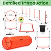 Dog Agility Course Backyard Set, Dog Agility Equipment, Pet obstacle