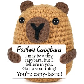 Kabwea Positive Capybara Gifts, Emotional Cheer Up Support School Graduation Gifts, Funny Gifts for Women, Capybara