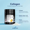 Seagarden® Hydrolysed Marine Collagen Powder (300g/60 serv.), Type 1 &