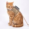 Arnés y Correa tácticos para Gatos para Caminar a Prueba