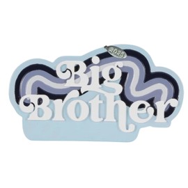 Brother or Sister Ornaments 2025 - Big Brother, Sister, Little Brother, Sister Christmas Ornaments - Easy to Personalize - Comes in Gift Box So It's Ready for Giving (Big Brother - Blue)