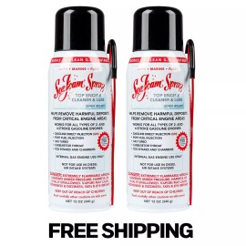 Sea Foam Spray Intake Valve and Upper Engine Cleaner SS14 12 oz Pack of 2
