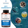 VITASEI Prostabionic Prostate Dietary Supplements for Men W/Saw Palmetto, Bio-quercetin