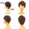Priscilla MAN All Wig, Stylish Short, MA-100, Heat Resistant, AB,