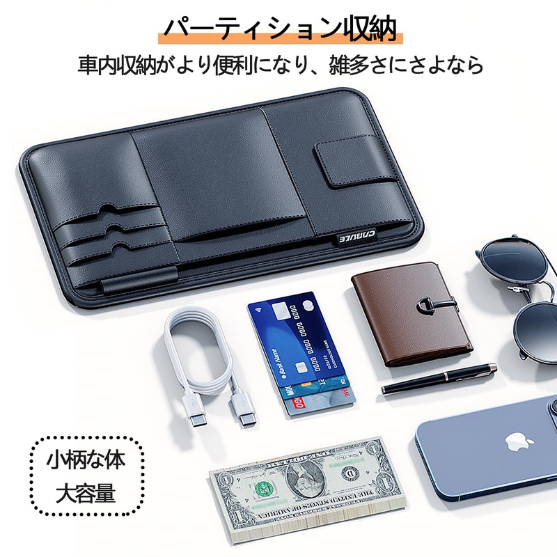 Raksonic Car Glasses Holder, Sun Visor Pocket, Car Glasses Clip,