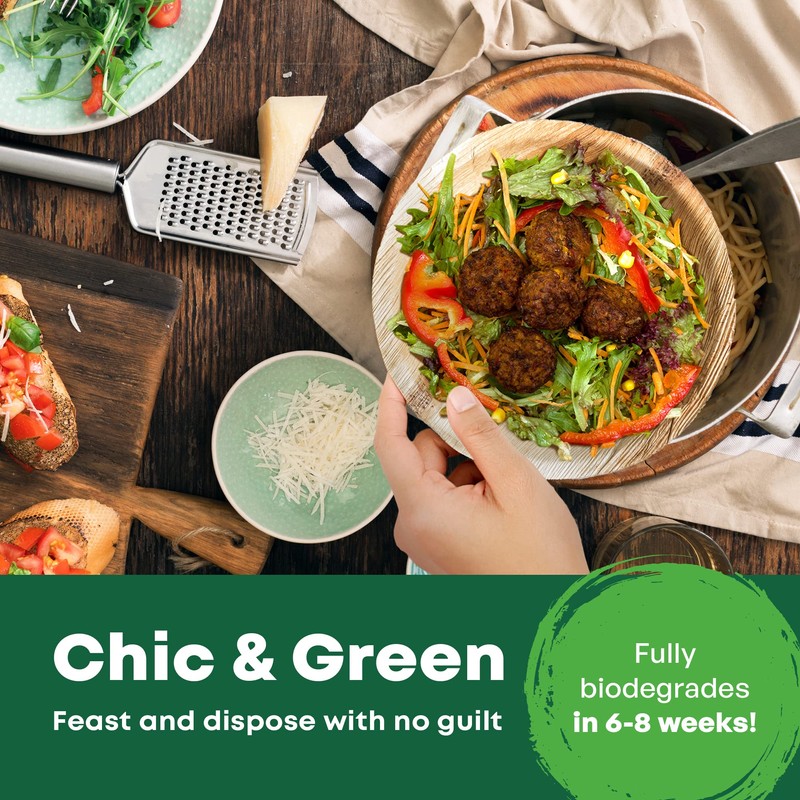 DISPOSABLE GREEN – Round Disposable Plates, Areca Leaf Serving Plates,