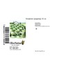 OliveNation Sorghum Popping - 32 Ounce