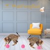 50 Pcs Cat Toy Balls, Cat Pom Pom Balls, Multicolored
