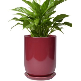 SUNPOTFOR Ceramic Pot for Plants - 8 Inch Plant Pot Indoor with Drainage Hole and Saucer Cylinder Flower Pot for Indoor Outdoor Plants Home Patio Office Decor Red