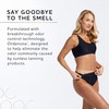 Norvell Professional Sunless Self Tanning Mist - Airbrush Spray Solution