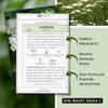 Sow Right Seeds Gran Colección Semillas Hierbas Medicinales Plantar Manzanilla