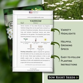 Sow Right Seeds Gran Colección Semillas Hierbas Medicinales Plantar Manzanilla Equinácea Lavanda Menta Amor Bálsamo Limón Más Reliquia Omg Remedios