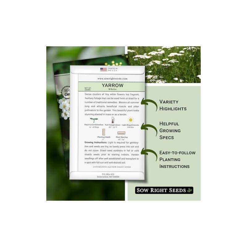 Sow Right Seeds Gran Colección Semillas Hierbas Medicinales Plantar Manzanilla