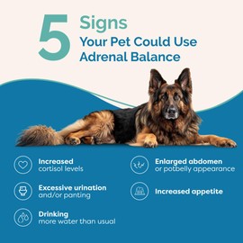 PranaPets Adrenal Balance for Dogs with Cushing’s | Naturally Relieves Symptoms of Cushing's in Dogs | Herbal Formula for Dogs with Cushing’s