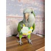 Bird Flight Harness Vest, Parrot Suit with Leash for Cockatiels
