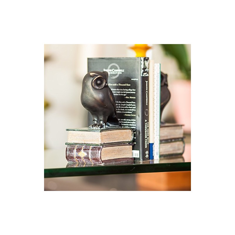 Danya B. Owl on Books Bookend Set