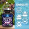 European Elderberry Fruit Extract 1200mg Per Serving Capsules - Sambucus