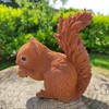 Real Life Baby Red Squirrel | Resin Home or Garden